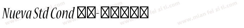 Nueva Std Cond 粗体字体转换
